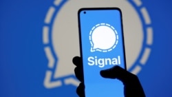 Signal遭中共封杀 分析:欲封堵获取真相渠道 Signal遭中共封杀 分析:欲封堵获取真相渠道