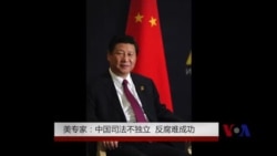 美专家: 中国司法不独立 反腐难成功 美专家: 中国司法不独立 反腐难成功