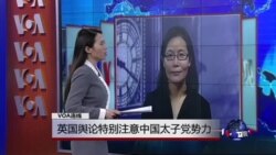 VOA连线: 英国舆论特别注意中国太子党势力 VOA连线: 英国舆论特别注意中国太子党势力