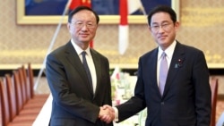 时任日本外相的岸田文雄2017年5月与中国国务委员杨洁篪会面(美联社)