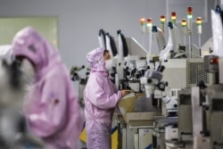 江苏省泗洪县一个芯片工厂的工人在生产线上。(2020年2月16日)