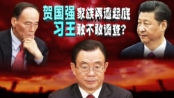 焦点对话:贺国强家族再遭起底,习王敢不敢调查? 焦点对话:贺国强家族再遭起底,习王敢不敢调查?