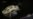 16x9 Image