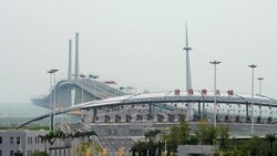 香港民主派:港珠澳大桥开通典礼应三地同时举行 香港民主派:港珠澳大桥开通典礼应三地同时举行