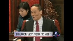时事大家谈:王岐山中纪委“坐大” 斩贪除 “虎”在望? 时事大家谈:王岐山中纪委“坐大” 斩贪除 “虎”在望?