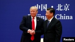 美国总统川普和中国国家主席习近平在北京人大会堂会见商界领袖时握手。(2017年11月9日)