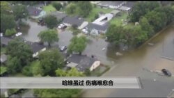 美国万花筒:哈维虽过 伤痛难愈合 美国万花筒:哈维虽过 伤痛难愈合