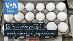ကြက်ငှက်တုပ်ကွေးကြောင့် အမေရိကန်မှာ ကြက်ဥဈေးဆက်တက်
 ကြက်ငှက်တုပ်ကွေးကြောင့် အမေရိကန်မှာ ကြက်ဥဈေးဆက်တက်