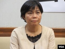 执政党国民党立委杨丽环(美国之音张永泰拍摄)