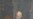 杨苏棣谈美国重返亚洲政策