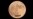 Supermoon ကြီး ထိန်ထိန်သာ