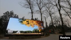 北京某处,荧屏上的蓝天秋色和周围雾霾中的冬日灰色形成对比。(2016年12月17日)