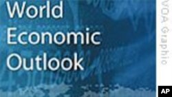 IMF:保持世界经济复苏需要政府继续支持