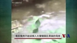 俄亥俄州不起诉掉入猩猩园区男孩的母亲 俄亥俄州不起诉掉入猩猩园区男孩的母亲