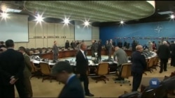 Стали відомі імена іще трьох кандидатів на посади в адміністрації Трампа. Відео Стали відомі імена іще трьох кандидатів на посади в адміністрації Трампа. Відео
