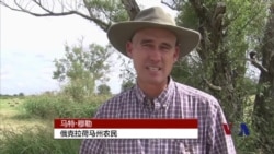 持续干旱困扰俄克拉荷马农民 持续干旱困扰俄克拉荷马农民