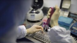 Coronavirus ကူးစက်မှု အရှိန်လျော့ပေမဲ့ မပေါ့ဆဖို့ WHO သတိပေး Coronavirus ကူးစက်မှု အရှိန်လျော့ပေမဲ့ မပေါ့ဆဖို့ WHO သတိပေး