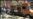 16x9 Image