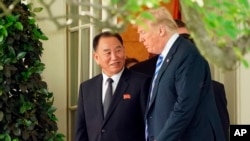 川普2018年6月1日在白宫会见朝鲜高官金英哲(美联社)