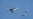 为什么中国派战机进入台湾空域却不攻击?