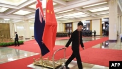 资料照:北京人大会堂一名工作人员在运送中国和新西兰国旗。(2019年4月1日)