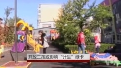 开放二胎或影响“计生”绿卡 开放二胎或影响“计生”绿卡
