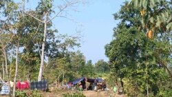 သောင်းချီတဲ့စစ်ကိုင်း စစ်ဘေးရှောင်တွေ အရေးပေါ်အကူအညီလိုအပ်နေ သောင်းချီတဲ့စစ်ကိုင်း စစ်ဘေးရှောင်တွေ အရေးပေါ်အကူအညီလိုအပ်နေ
