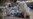 16x9 Image