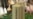 16x9 Image