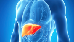 Sau Khi Chữa Khỏi Viêm Gan C (Hepatitis C) Sau Khi Chữa Khỏi Viêm Gan C (Hepatitis C)