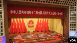 中国人大代表投票选举国家主席,副主席和人大委员长(美国之音东方拍摄)