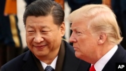 中国国家主席习近平在北京人民大会堂欢迎美国总统特朗普。(2017年11月9日)