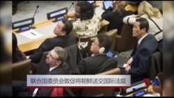 联合国委员会敦促将朝鲜送交国际法庭 联合国委员会敦促将朝鲜送交国际法庭