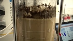 威士忌生物燃料技术 威士忌生物燃料技术
