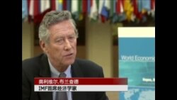 IMF预测今年世界经济平均增长3.3% IMF预测今年世界经济平均增长3.3%