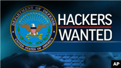 Pentagon hacking