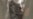 16x9 Image