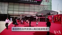 泰国牺牲自然资源以满足能源需求? 泰国牺牲自然资源以满足能源需求?