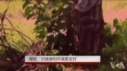 绿炭:对健康和环境更友好 绿炭:对健康和环境更友好