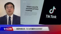 时事大家谈:美国考虑封杀,TikTok忙撇清与北京关系? 时事大家谈:美国考虑封杀,TikTok忙撇清与北京关系?