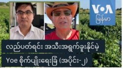 လည်ပတ်ရင်း အသီးအရွက်ခူးနိုင်မဲ့ Yoe စိုက်ပျိုးရေးခြံ - အပိုင်း (၂) လည်ပတ်ရင်း အသီးအရွက်ခူးနိုင်မဲ့ Yoe စိုက်ပျိုးရေးခြံ - အပိုင်း (၂)