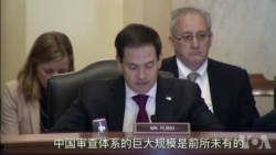 鲁比奥参议员在国会及行政当局中国委员会听证上 鲁比奥参议员在国会及行政当局中国委员会听证上