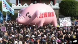 台北民众游行抗议政府允许美国猪肉进口台湾的决定。(2020年11月22日)