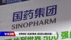 时事大家谈:美情报部门获基因数据,新冠源头揭秘有望? 时事大家谈:美情报部门获基因数据,新冠源头揭秘有望?