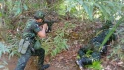 ကရင်ပြည်နယ်၊ ကြာအင်းဆိပ်ကြီးမြို့နယ်မှာ တိုက်ပွဲတွေ ကြိုကြားဖြစ်နေဆဲ
 ကရင်ပြည်နယ်၊ ကြာအင်းဆိပ်ကြီးမြို့နယ်မှာ တိုက်ပွဲတွေ ကြိုကြားဖြစ်နေဆဲ