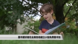 图书爱好者在全美各地建立小型免费图书馆 图书爱好者在全美各地建立小型免费图书馆