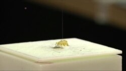 机器人母亲创造自己的机器人孩子 机器人母亲创造自己的机器人孩子