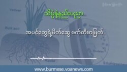 အပင်တွေရဲ့ မိတ်ဆွေ ဗက်တီဗာမြက်
 အပင်တွေရဲ့ မိတ်ဆွေ ဗက်တီဗာမြက်