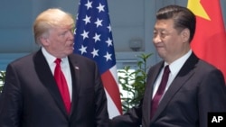 20国集团汉堡峰会上,美中两国最高领导人握手(2017年7月8日)。
