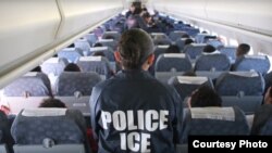 美国移民探员坐镇飞机(ICE image)